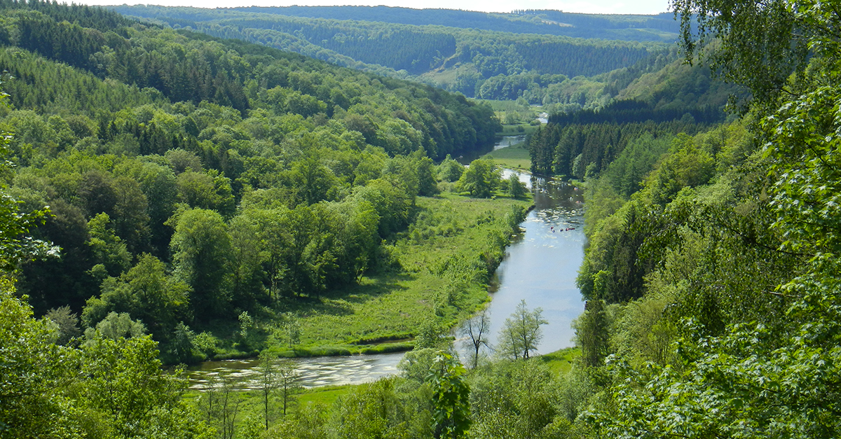 L'Ardenne Belge cover image