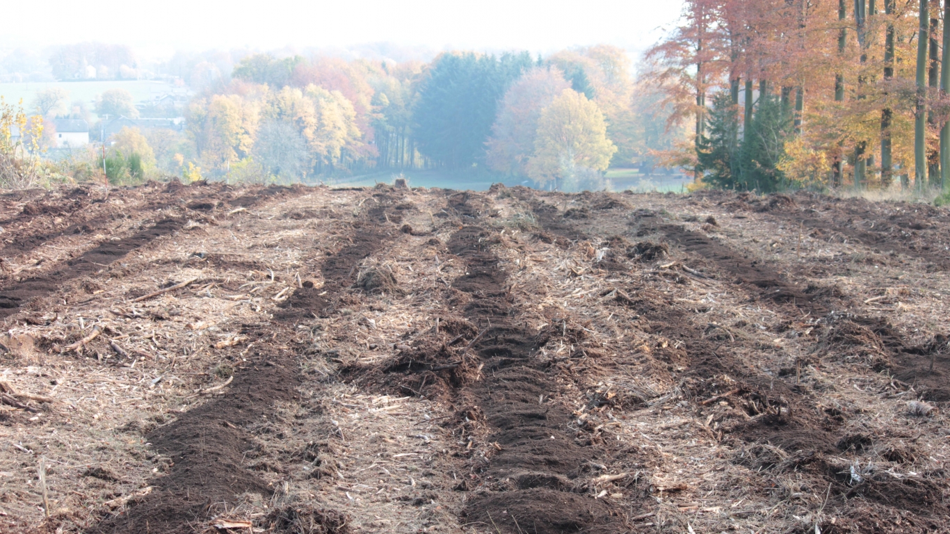 Arboplants - Pour le particulier et le professionnel.