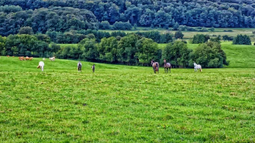 Balcon de Remifontaine