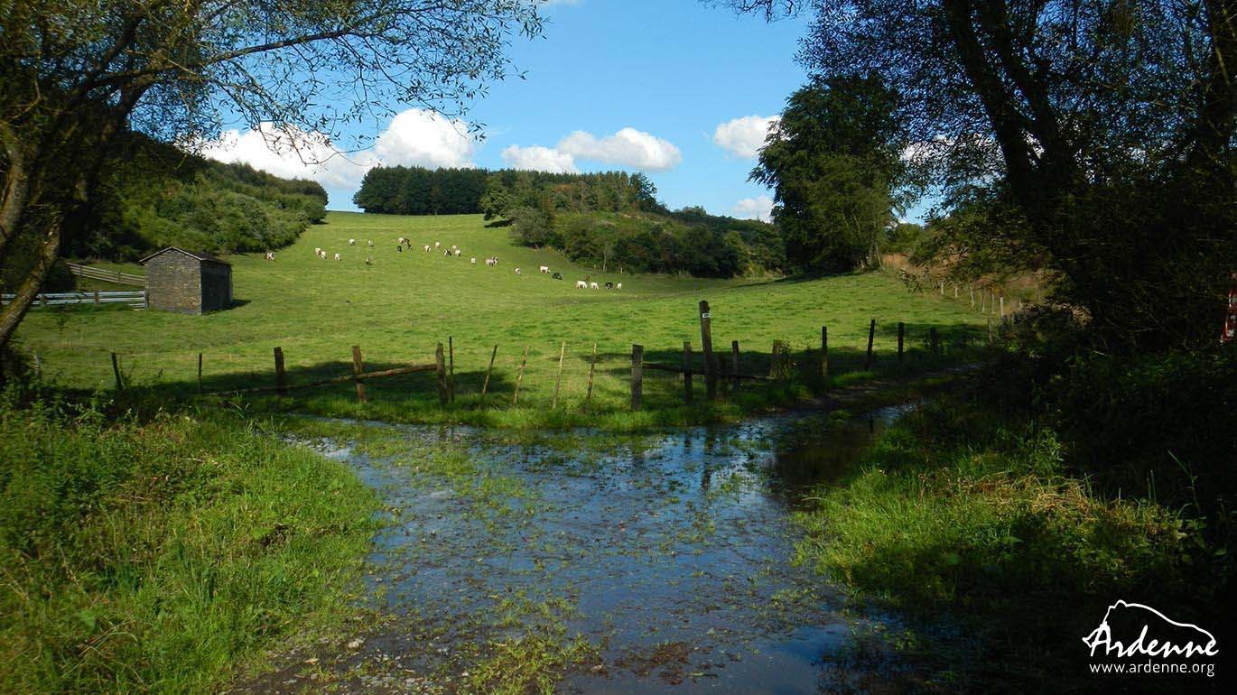 Eislek Trail - Ardennes luxembourgeoises Eislek Trail - Ardennes luxembourgeoises