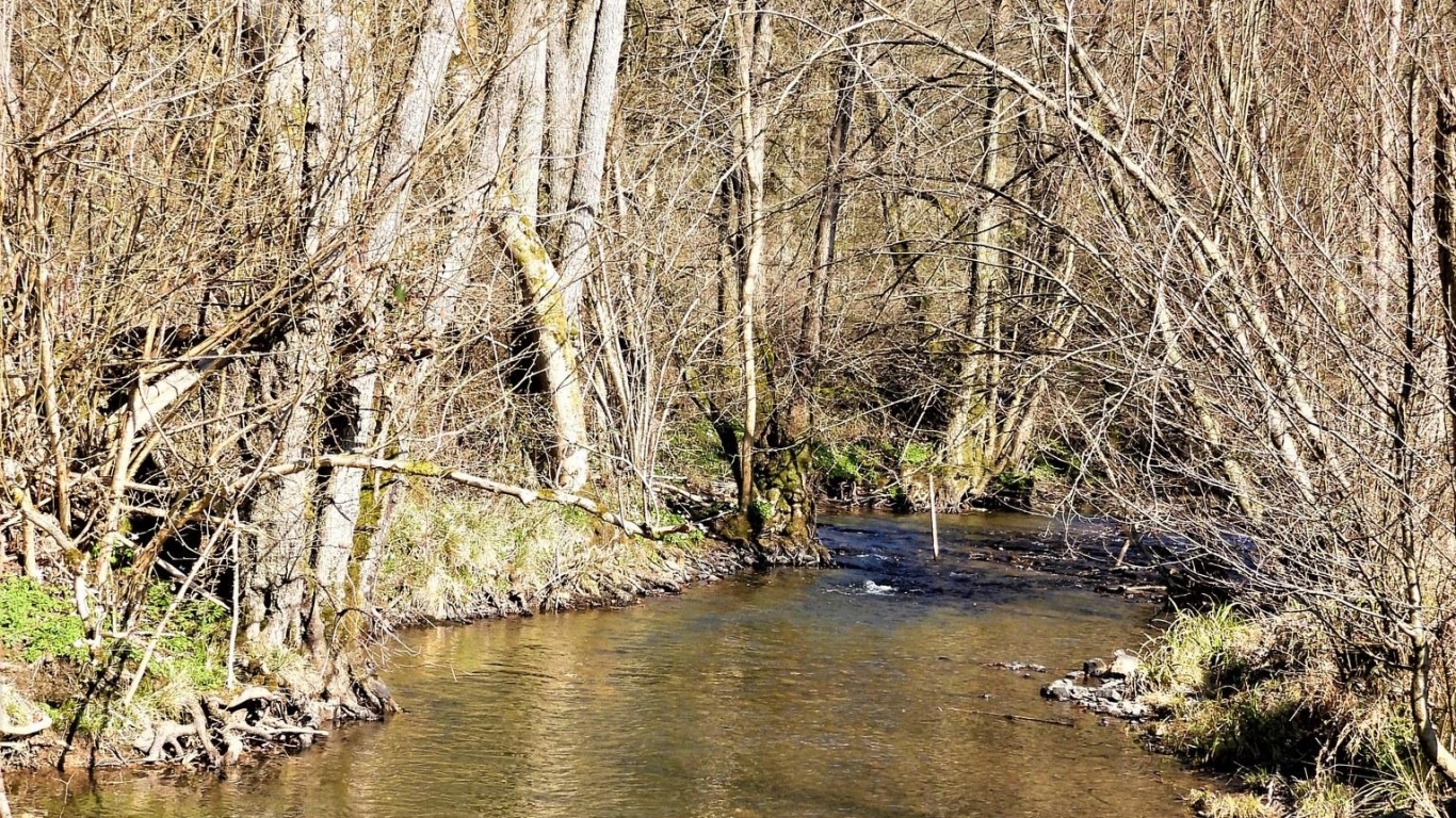 Froidfontaine - Promenade de l'eau