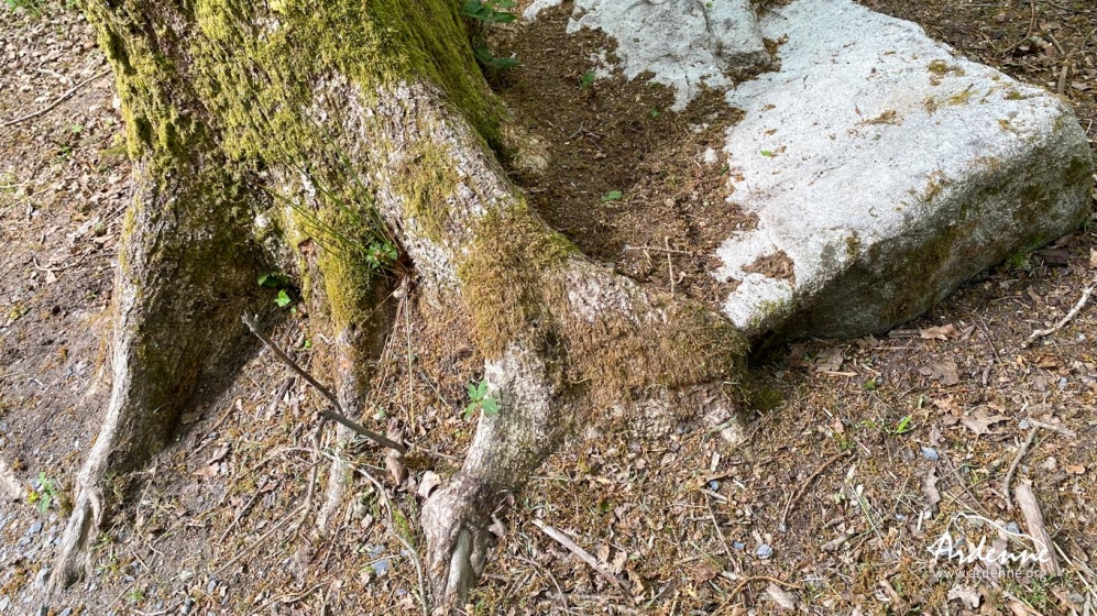 Géocaching en Ardenne
