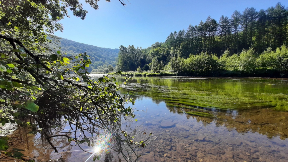 La Balade des Échelles