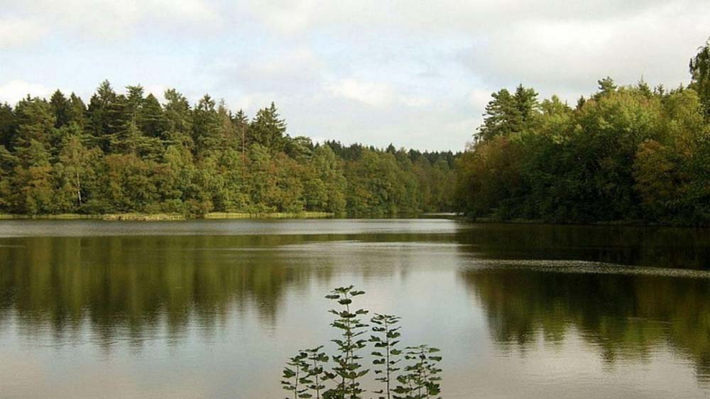 Le domaine des Epioux