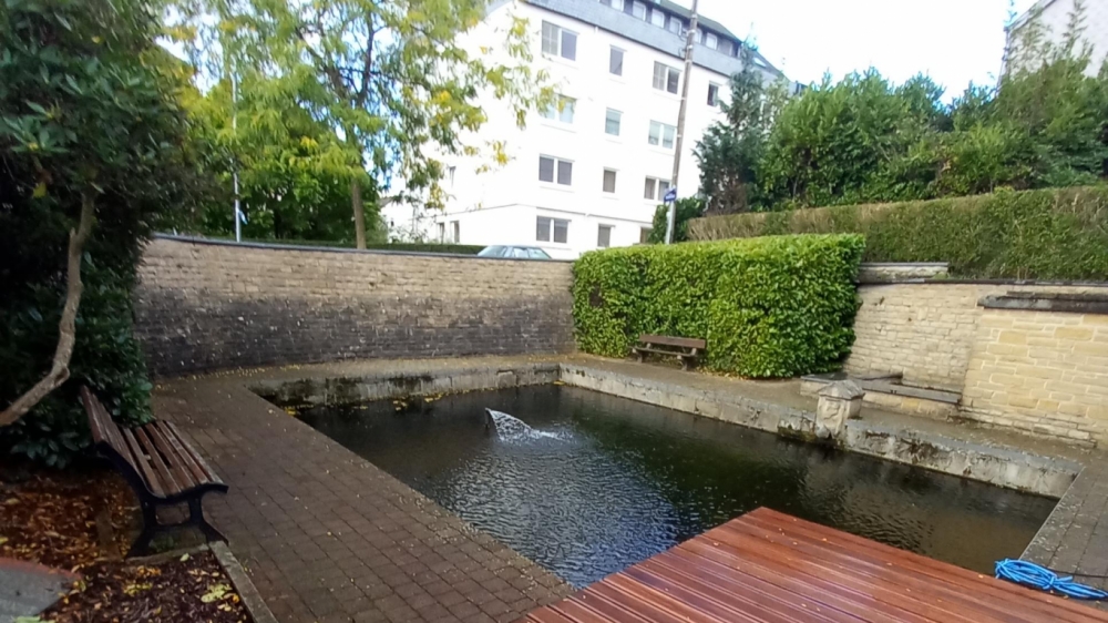 Les sources de la Semois