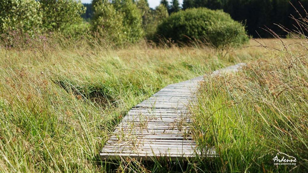 Ostbelgien - En balade dans l'Est de la Belgique