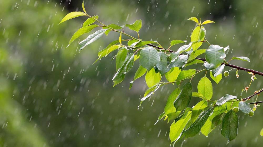 Que faire dans les Ardennes quand il pleut ? Que faire dans les Ardennes quand il pleut ?