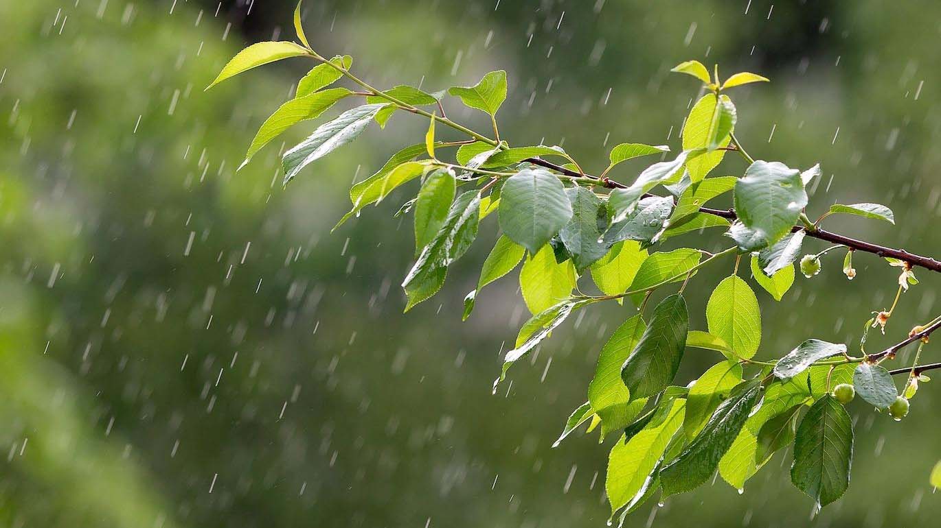 Que faire dans les Ardennes quand il pleut ?