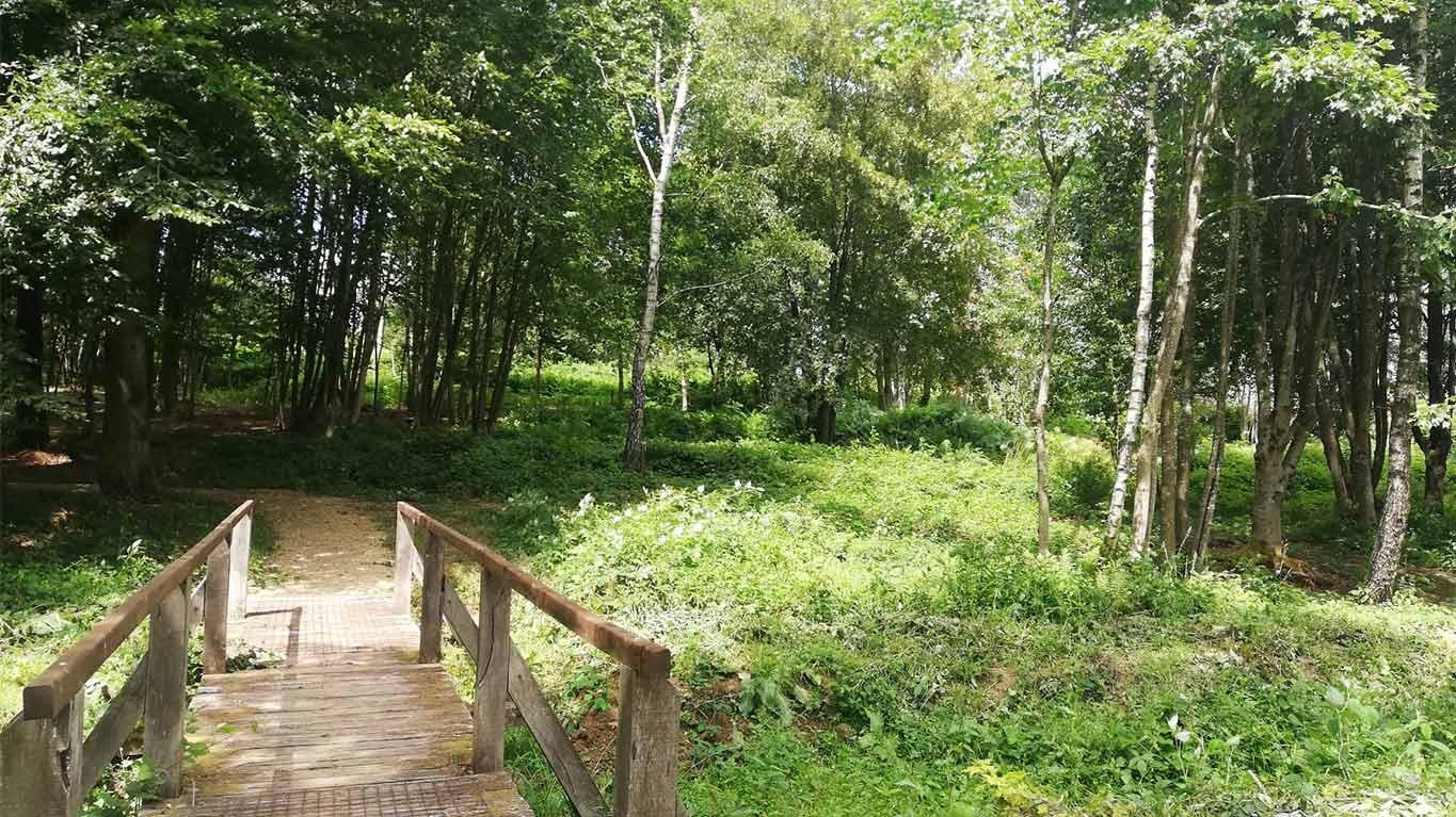 19èmes randonnées en forêt