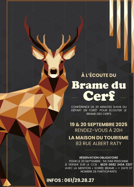 A l'écoute du Brame du Cerf