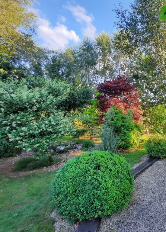 Chiny au Jardin
