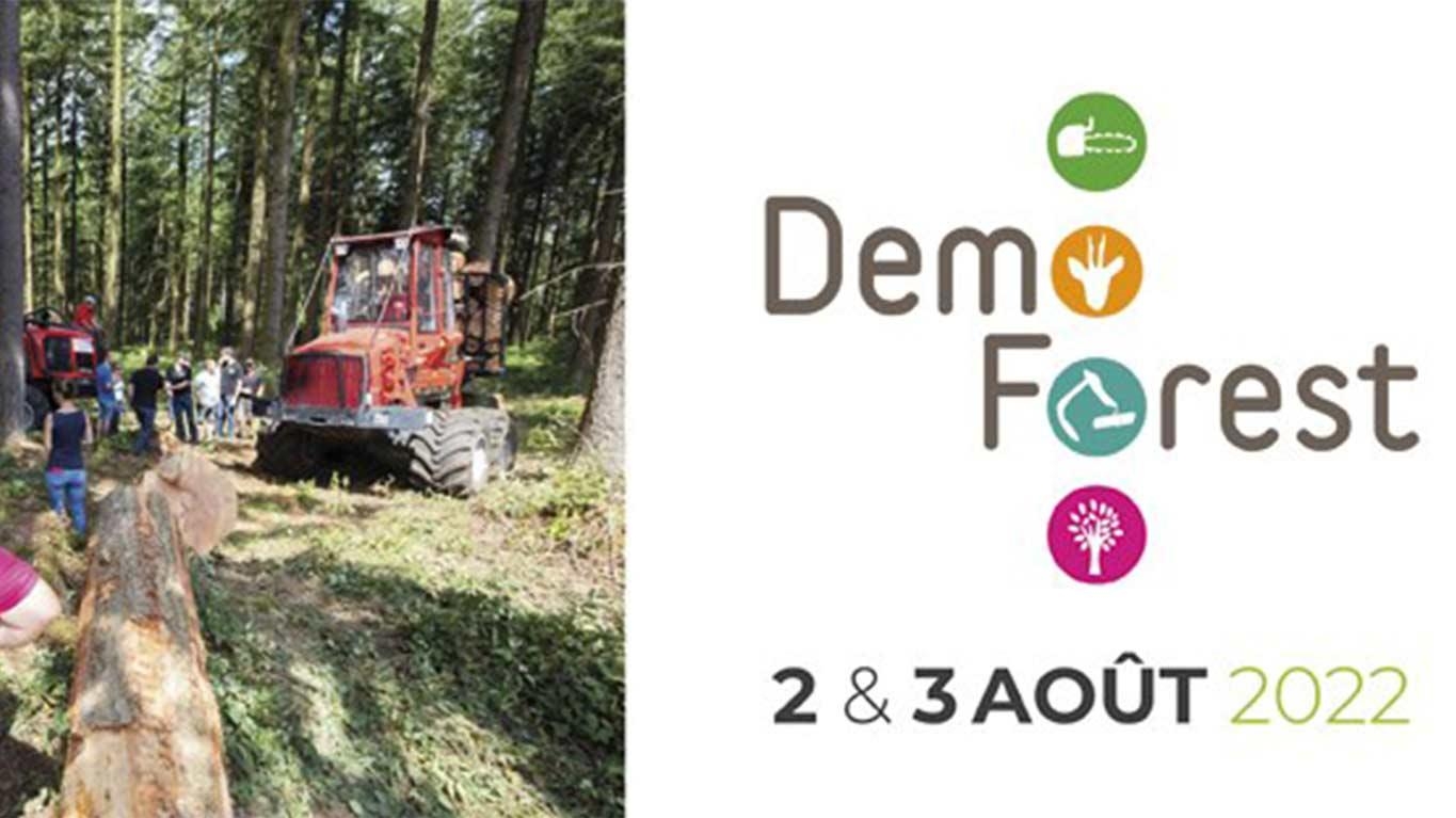 Demo Forest