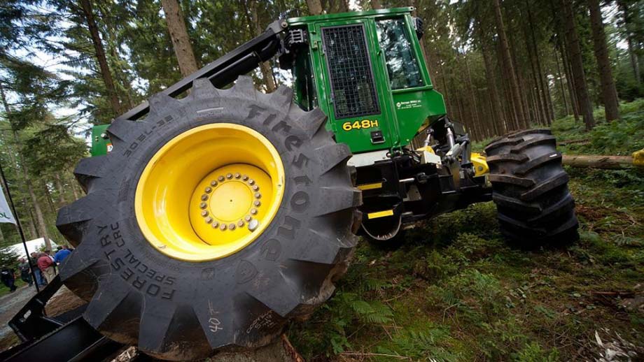 Demo Forest