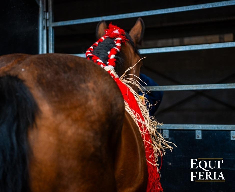 Equi'Feria 2026, du 23 au 25 mai