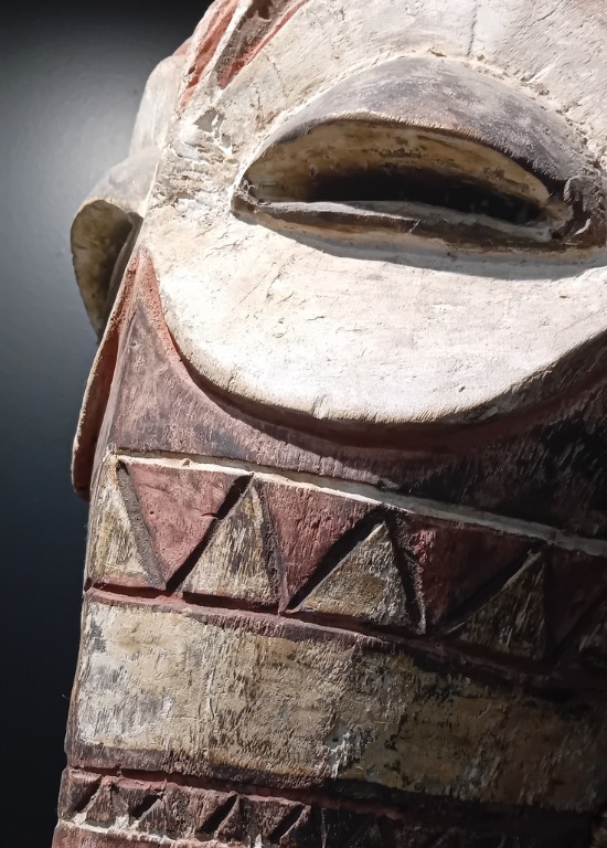 Expo : Hors Réserves au Musée de la Grande Ardenne