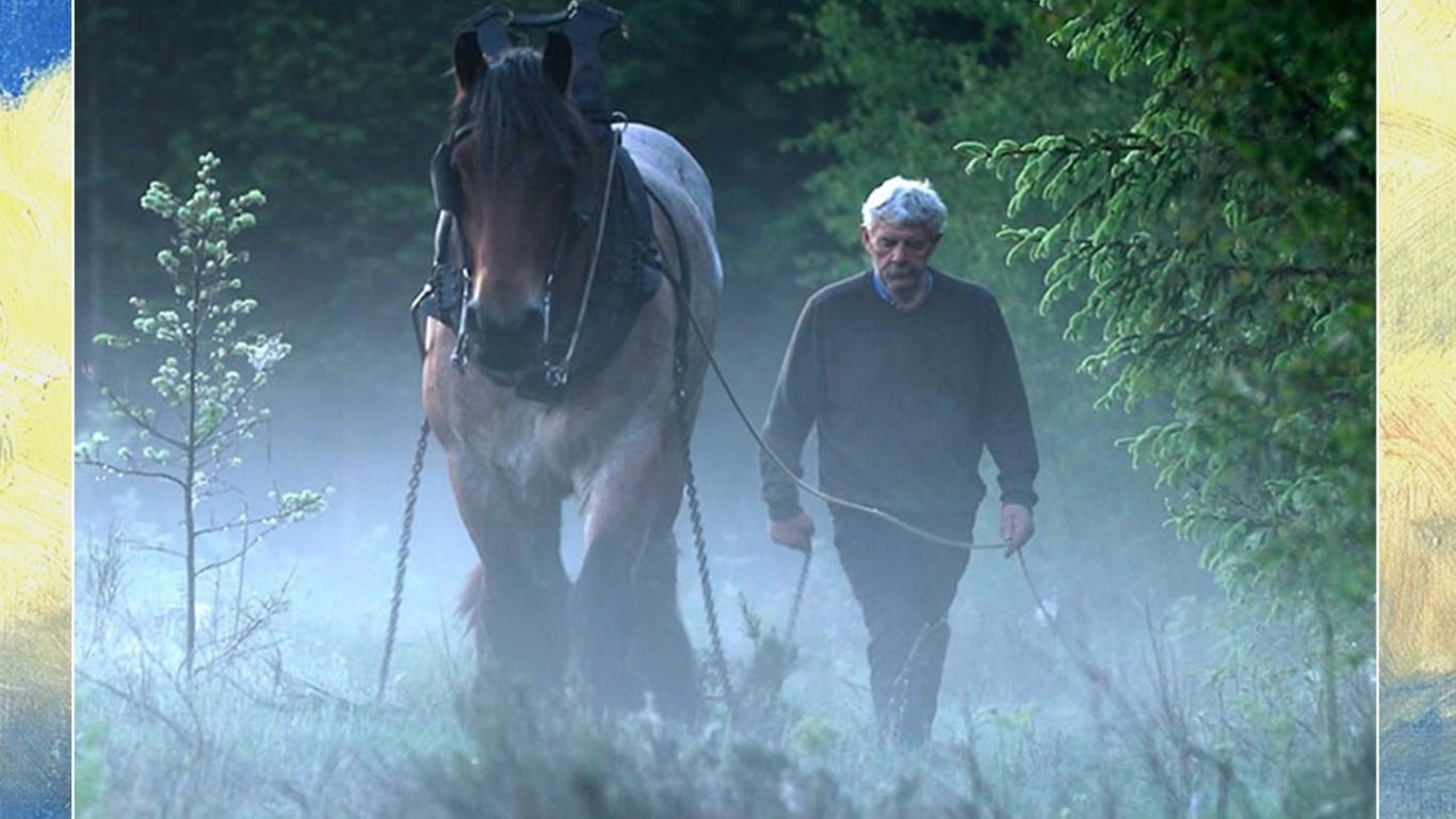 Fils de débardeur - Wellin