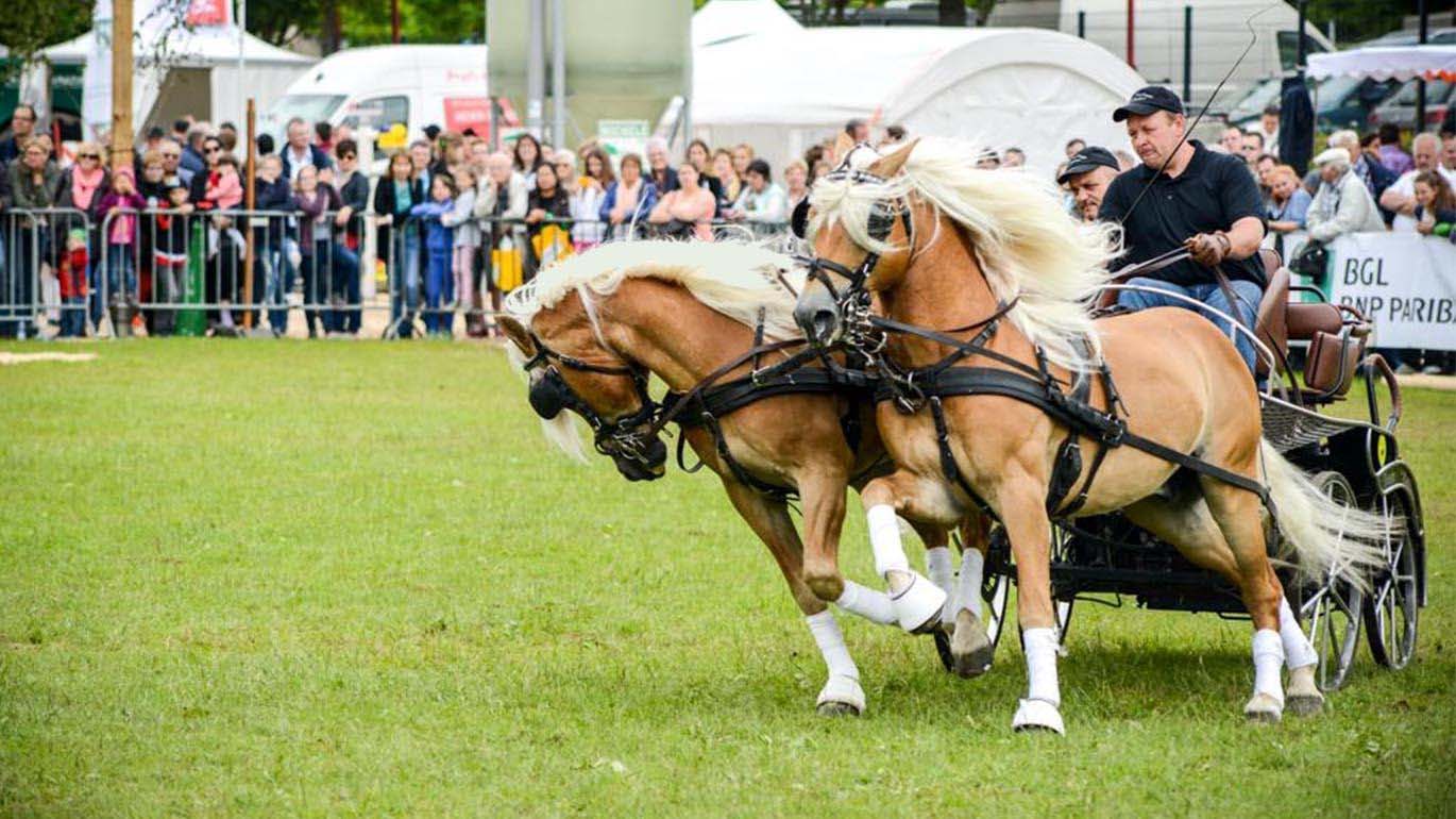 Foire agricole d'Ettelbruck