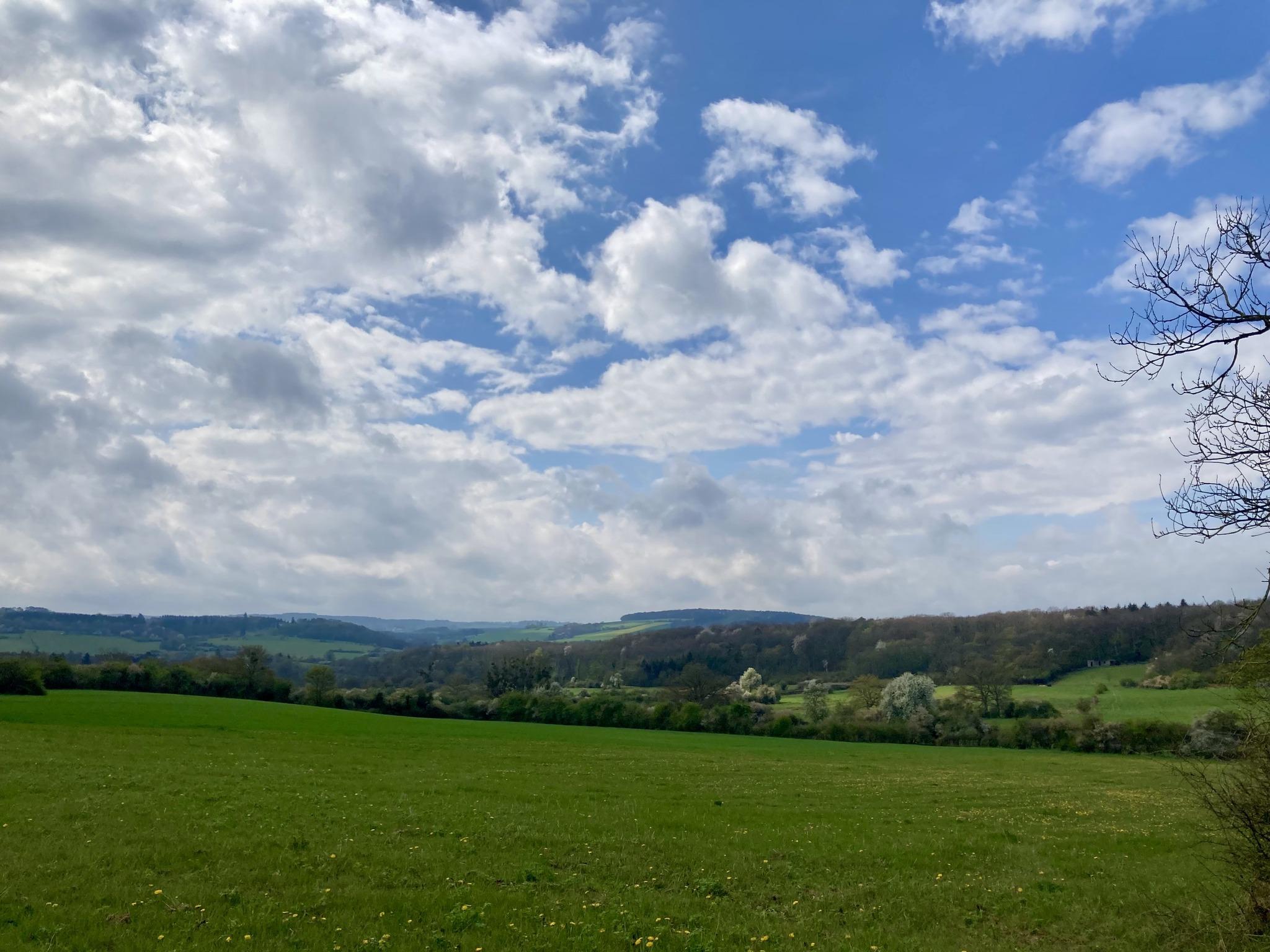 Foire Sainte-Catherine à Paliseul