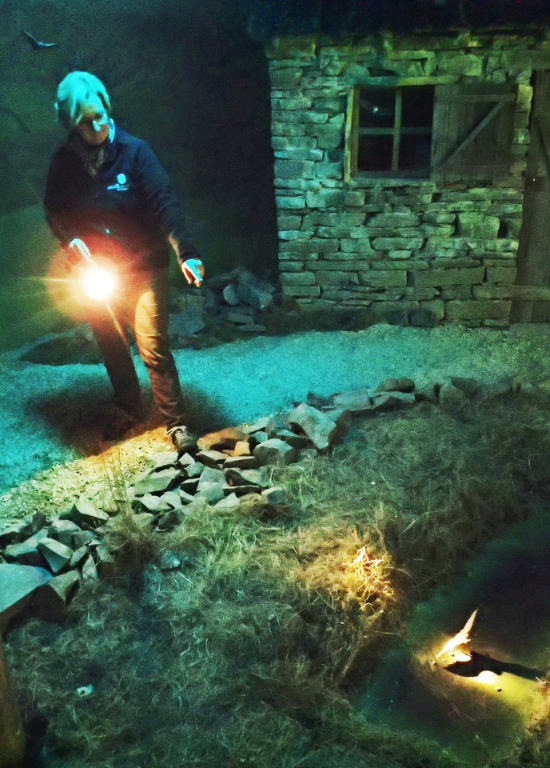 Formation aux découvertes de Comblain - devenir animateur nature en tant que bénévole