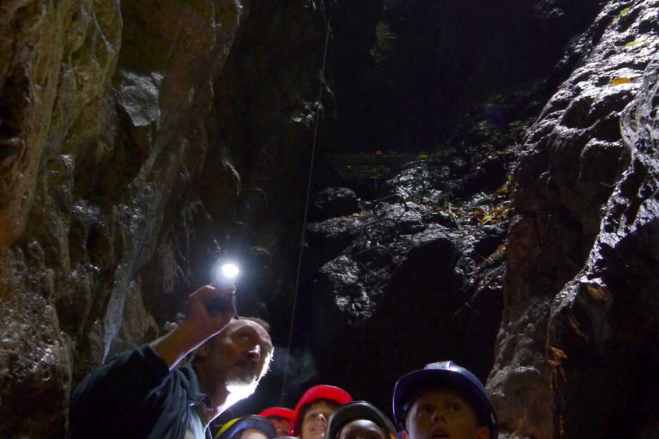 Formation aux découvertes de Comblain - devenir animateur nature en tant que bénévole