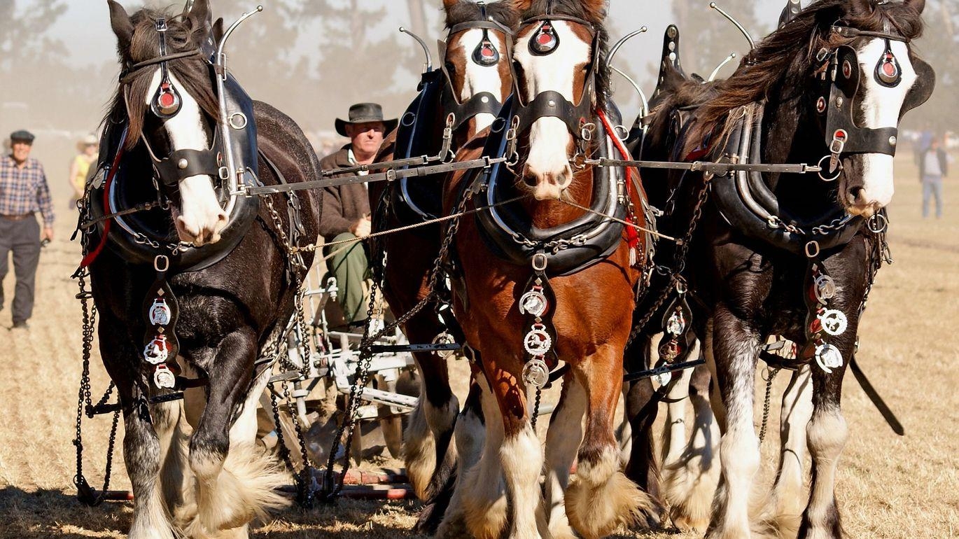 La Fête du Labour vous invite pour ses 20 ans