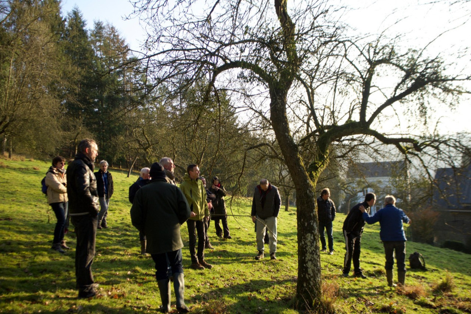 Les formations aux Découvertes de Comblain -  conduite et taille des arbres fruitiers