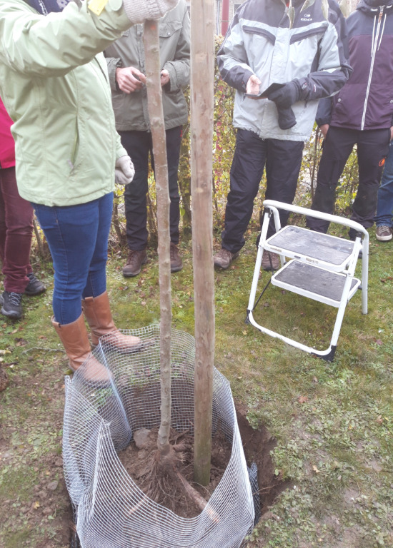 Les formations aux découvertes de Comblain  - Les arbres fruitiers
