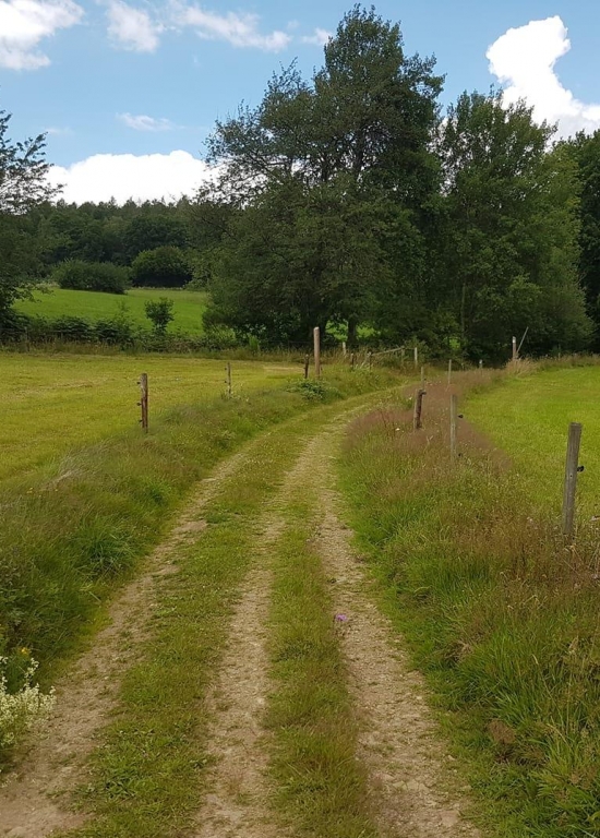 Marche Adeps à Froidfontaine