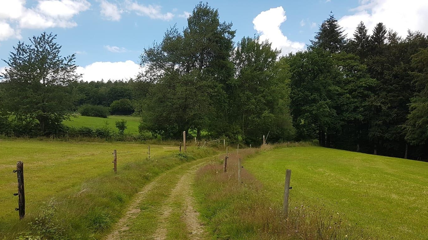 Marche Adeps à Froidfontaine