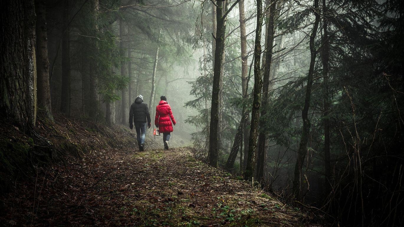 Marche nocturne Nollevaux (Paliseul)