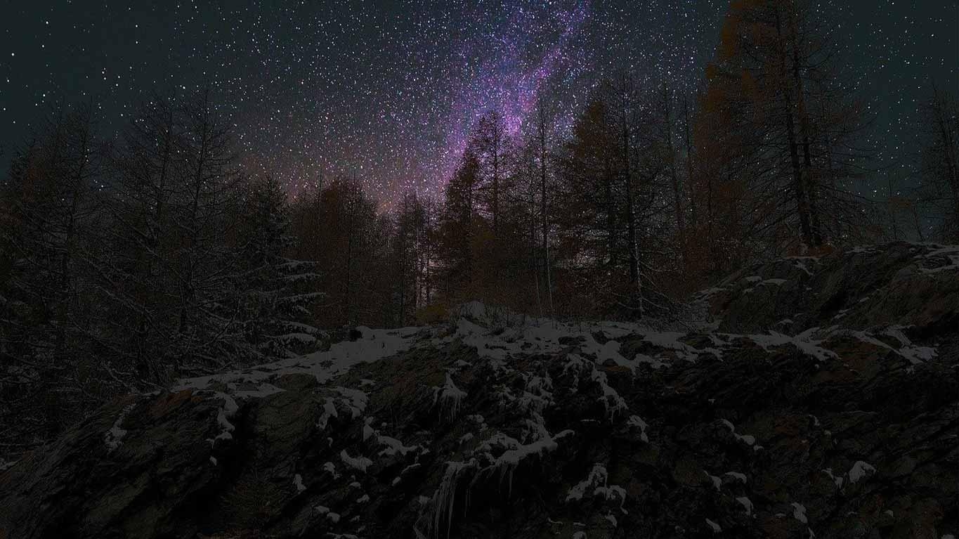 Nocturne des Oulines : Balade forestière sous les étoiles