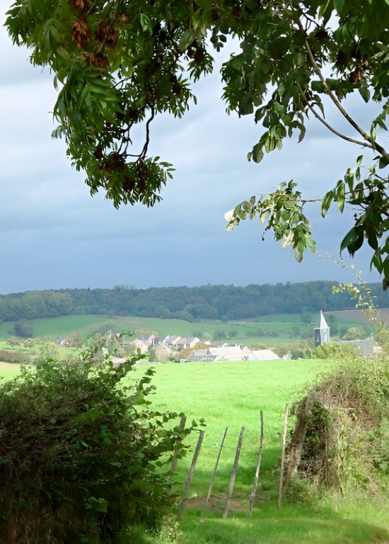 Promenade guidée : Découverte de Hombourg et ses alentours