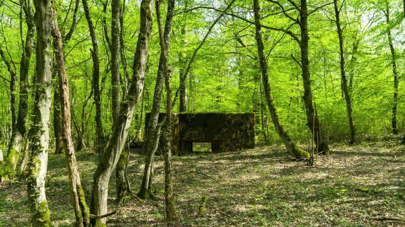 Qu'allions nous faire sur la Ligne Maginot