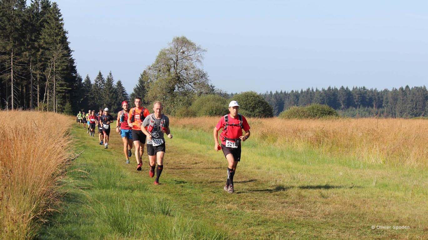 Trail des Hautes Fagnes 