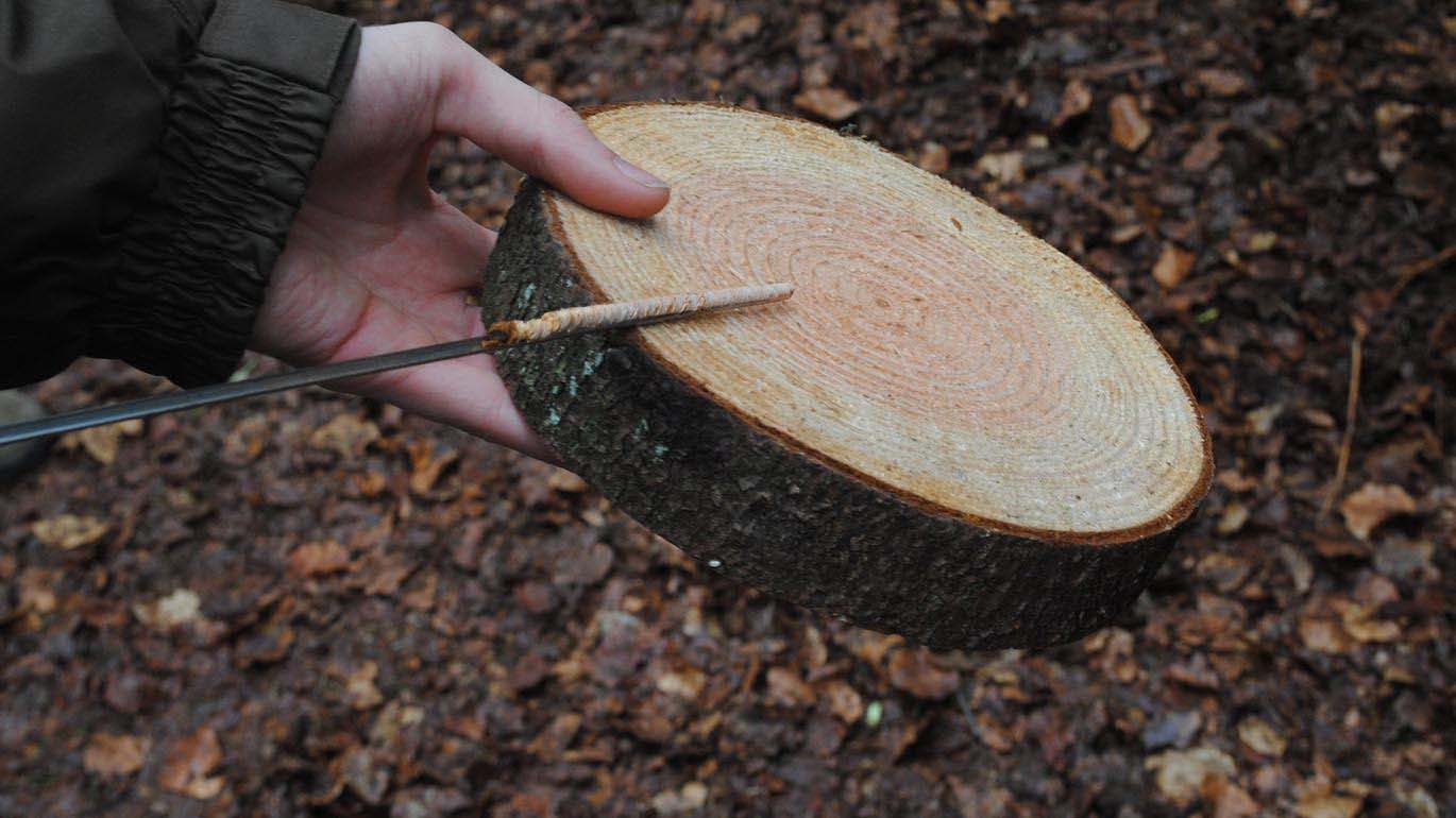 Week-end du bois et des forêts d'Ardenne