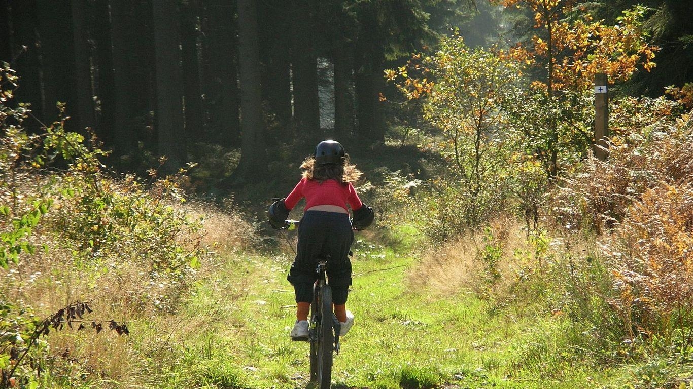 Haute Ardenne