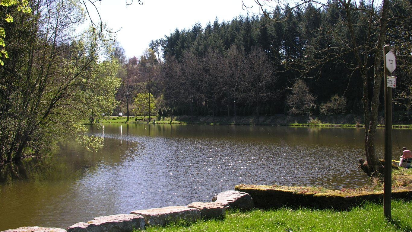 La Forêt d'Anlier
