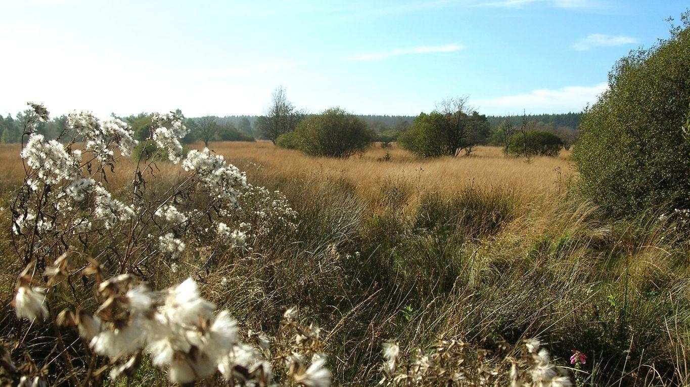 Ostbelgien - Les Cantons de l'Est